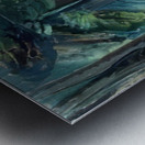 Emily Carr 12 Metal print