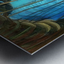 Emily Carr 16 Metal print