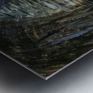 Emily Carr 27 Metal print