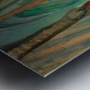 Emily Carr 28 Metal print