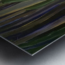 Emily Carr 31 Metal print