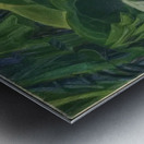 Emily Carr 35 Metal print