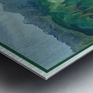 Emily Carr 36 Metal print