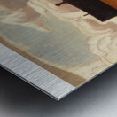 Emily Carr 39 Metal print