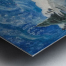 Emily Carr 43 Metal print