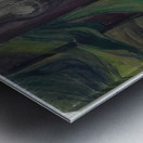 Emily Carr 45 Metal print