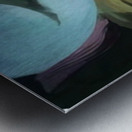 Emily Carr 48 Metal print