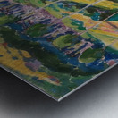 Emily Carr 49 Metal print