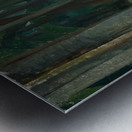 Emily Carr 50 Metal print