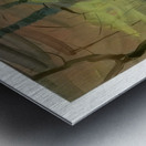 Emily Carr 54 Metal print