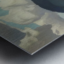 Emily Carr 55 Metal print