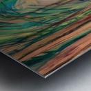 Emily Carr 58 Metal print