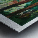 Emily Carr 61 Metal print