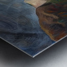 Emily Carr 64 Metal print