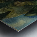 Emily Carr 65 Metal print