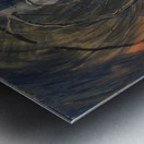 Emily Carr 12 Metal print