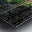 Emily Carr 14 Metal print