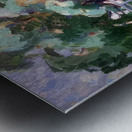 Emily Carr 21 Metal print