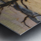 Emily Carr 26 Metal print