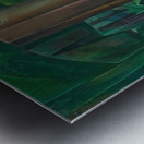 Emily Carr 32 Metal print