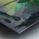 Emily Carr 33 Metal print