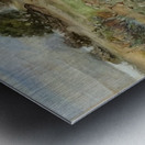 Emily Carr 35 Metal print