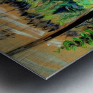 Emily Carr 36 Metal print