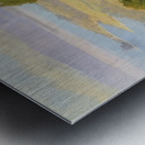 Félix Thiollier 2 Metal print