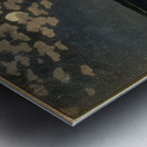 Félix Thiollier 3 Metal print