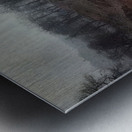 Félix Thiollier 5 Metal print