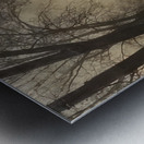 Félix Thiollier 9 Metal print