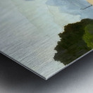 Félix Thiollier 10 Metal print