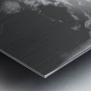 Félix Thiollier 11 Metal print