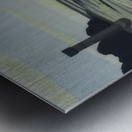 Félix Thiollier 12 Metal print