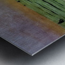 Félix Thiollier 13 Metal print