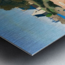 Félix Thiollier 14 Metal print