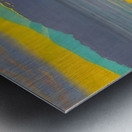 Félix Thiollier 15 Metal print