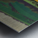 Félix Thiollier 16 Metal print