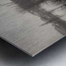 Félix Thiollier 18 Metal print