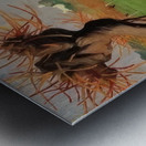 Félix Thiollier 22 Metal print