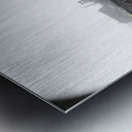 Félix Thiollier 27 Metal print