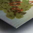 Félix Thiollier 28 Metal print