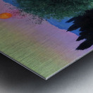 Félix Thiollier 30 Metal print