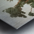 Félix Thiollier 31 Metal print