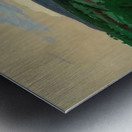 Félix Thiollier 34 Metal print