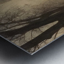 Félix Thiollier 35 Metal print