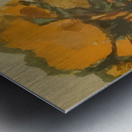 Félix Thiollier 37 Metal print