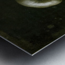 Félix Thiollier 39 Metal print