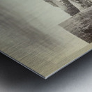 Félix Thiollier 41 Metal print