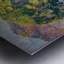 Henri Edmond Cross 30 Metal print